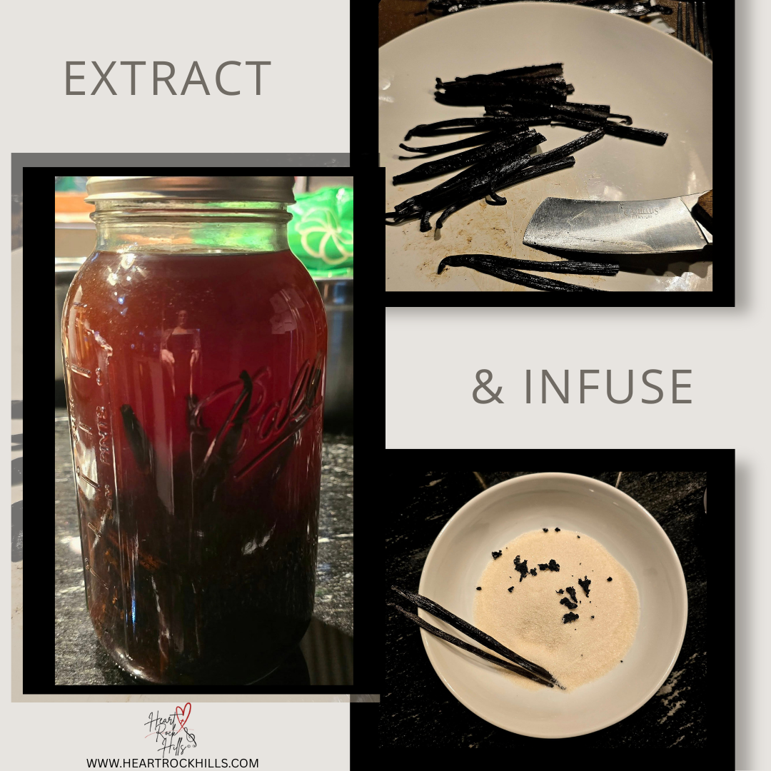 Daily Devotional Extract & Infuse